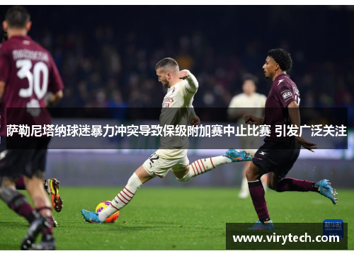 萨勒尼塔纳球迷暴力冲突导致保级附加赛中止比赛 引发广泛关注