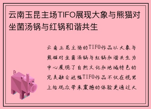 云南玉昆主场TIFO展现大象与熊猫对坐菌汤锅与红锅和谐共生